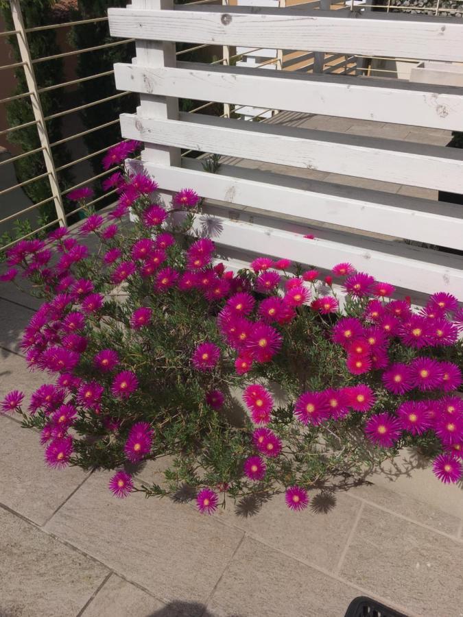 Antonella Gardalake 2 ديسينسانو ديل غاردا المظهر الخارجي الصورة